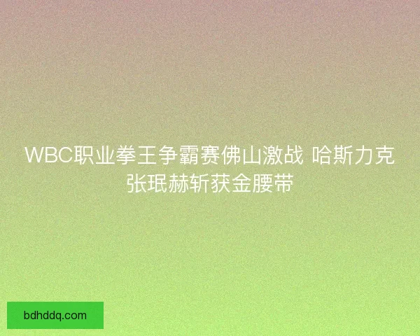 WBC职业拳王争霸赛佛山激战 哈斯力克张珉赫斩获金腰带