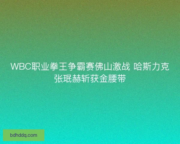 WBC职业拳王争霸赛佛山激战 哈斯力克张珉赫斩获金腰带 WBC职业拳王争霸赛佛山激战 哈斯力克张珉赫斩获金腰带